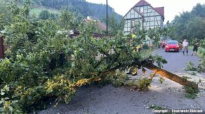 31. Einsatz 2024 – H1 umgestürzter Baum